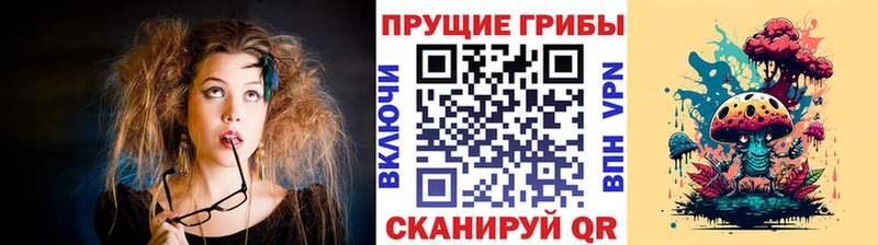 Псилоцибиновые грибы Psilocybe  магазин  наркотиков  OMG зеркало  Демидов 
